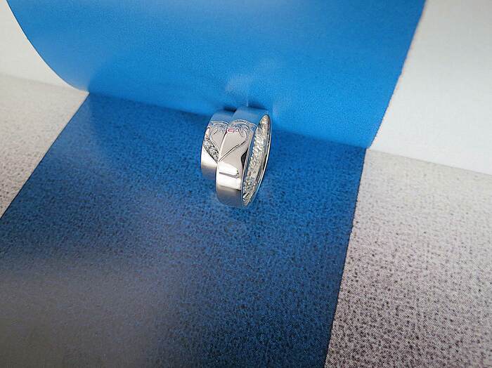 ArgollasCorazónDelfines (1)