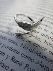 AnilloPlumas (1)