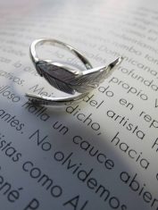 AnilloPlumas (2)