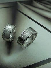 ArgollasPinguinos (2)