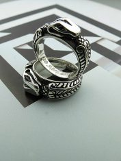 ArgollasUroboros (2)