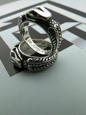 ArgollasUroboros (3)