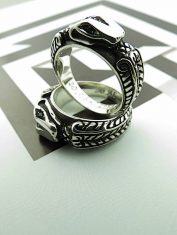 ArgollasUroboros (5)