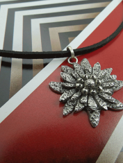 Dije-Flor-Edelweiss (2) Dije-Flor-Edelweiss (2)