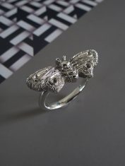 Anillo-Polilla (1) Anillo-Polilla (1)