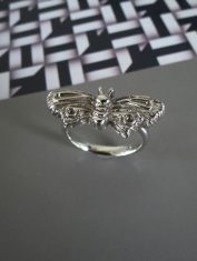 Anillo-Polilla (2) Anillo-Polilla (2)