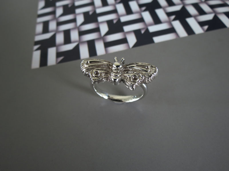 Anillo-Polilla (2)