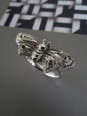 Anillo-Polilla (3) Anillo-Polilla (3)