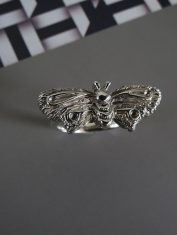 Anillo-Polilla (4) Anillo-Polilla (4)