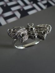 Anillo-Polilla (5) Anillo-Polilla (5)